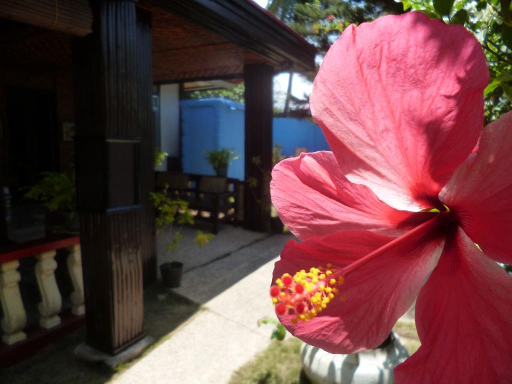Casakeja Inn 邦劳 外观 照片